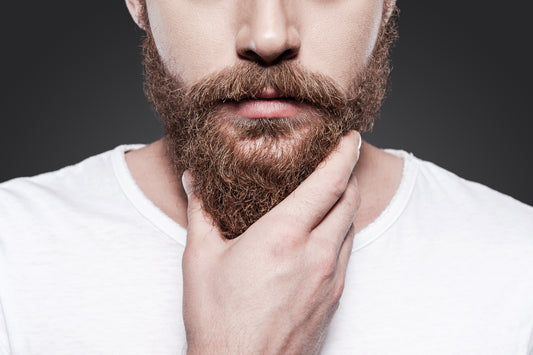 Unlock Your Beard's Potential: The Bear Necessities Bundle for a Superior Grooming Experience